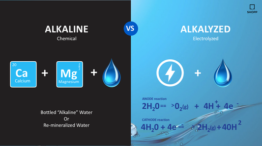 Alkaline vs Alkalized